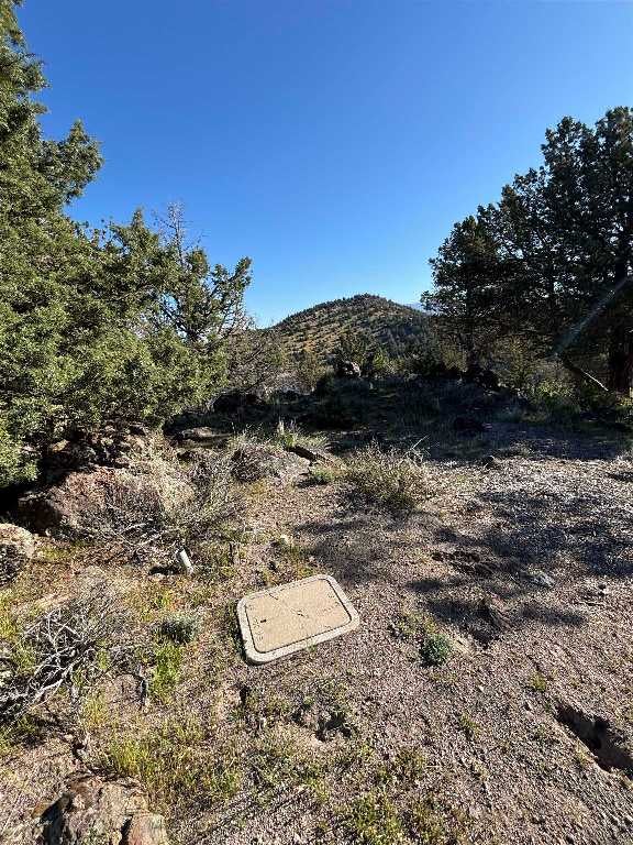 Unit 9-2 Lot 182 Elkridge Road Weed, CA 96094 - Photo 4 of 19 Gallery Image 4