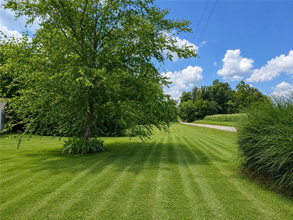 25030 East Fishback Road Marshall, IL 62441 - Photo 31 of 39