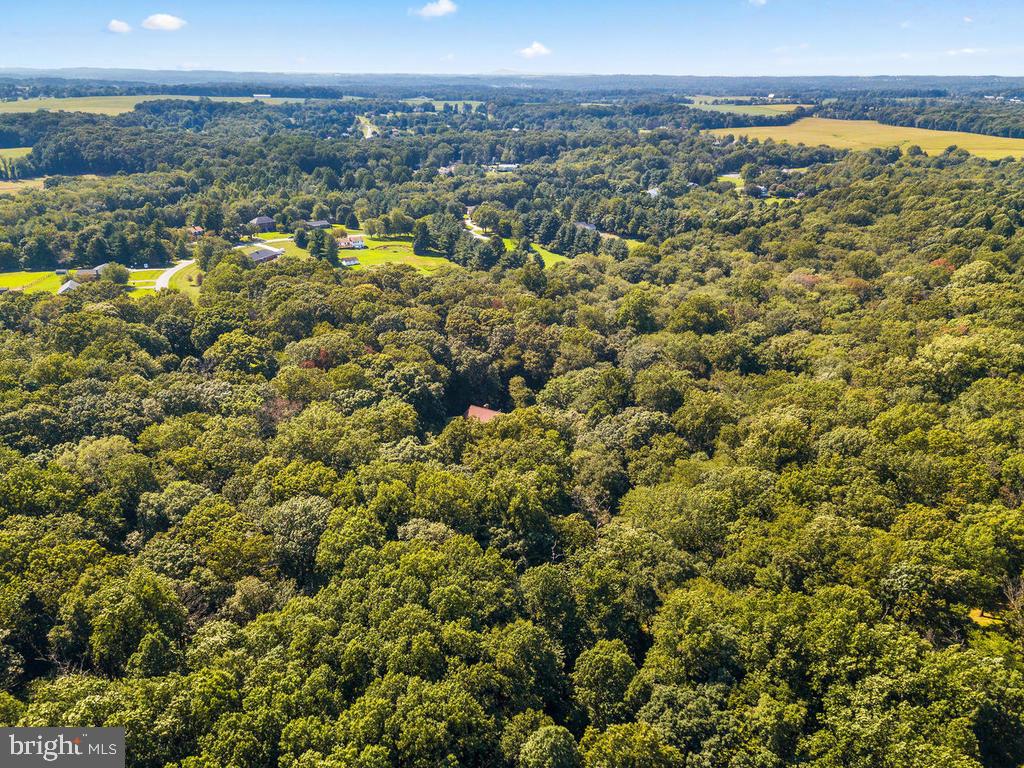 22305 Fitzgerald Drive Laytonsville, MD 20882 - Photo 103 of 109 Arial