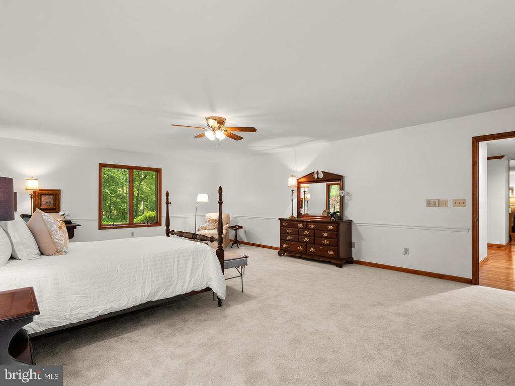 22305 Fitzgerald Drive Laytonsville, MD 20882 - Photo 40 of 109 Large 1st Floor Master 17' x 25'