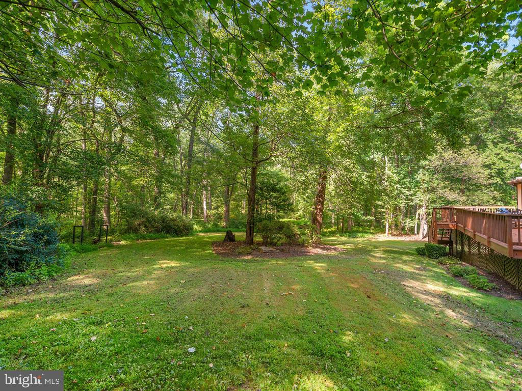 22305 Fitzgerald Drive Laytonsville, MD 20882 - Photo 87 of 109 Backyard