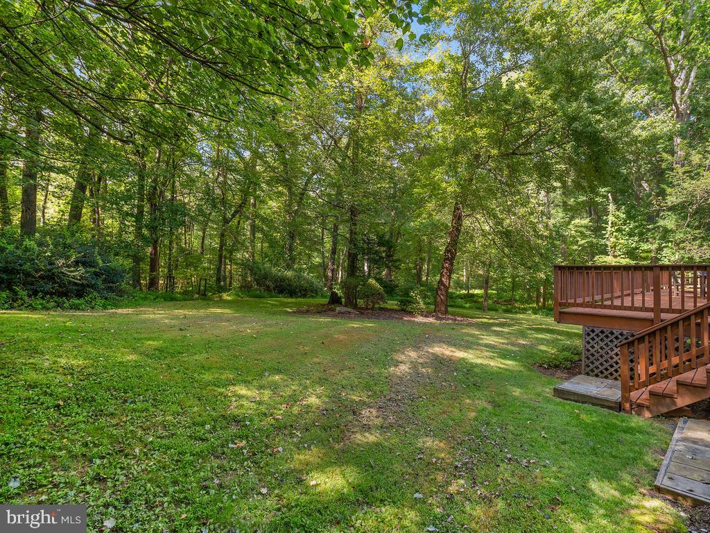 22305 Fitzgerald Drive Laytonsville, MD 20882 - Photo 88 of 109 Backyard