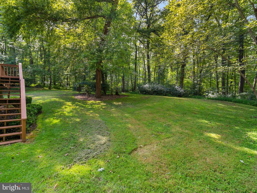 22305 Fitzgerald Drive Laytonsville, MD 20882 - Photo 91 of 109 Backyard