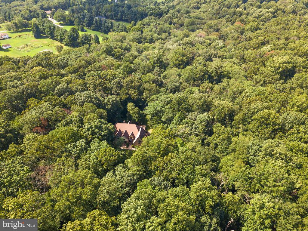 22305 Fitzgerald Drive Laytonsville, MD 20882 - Photo 96 of 109 Private Lot