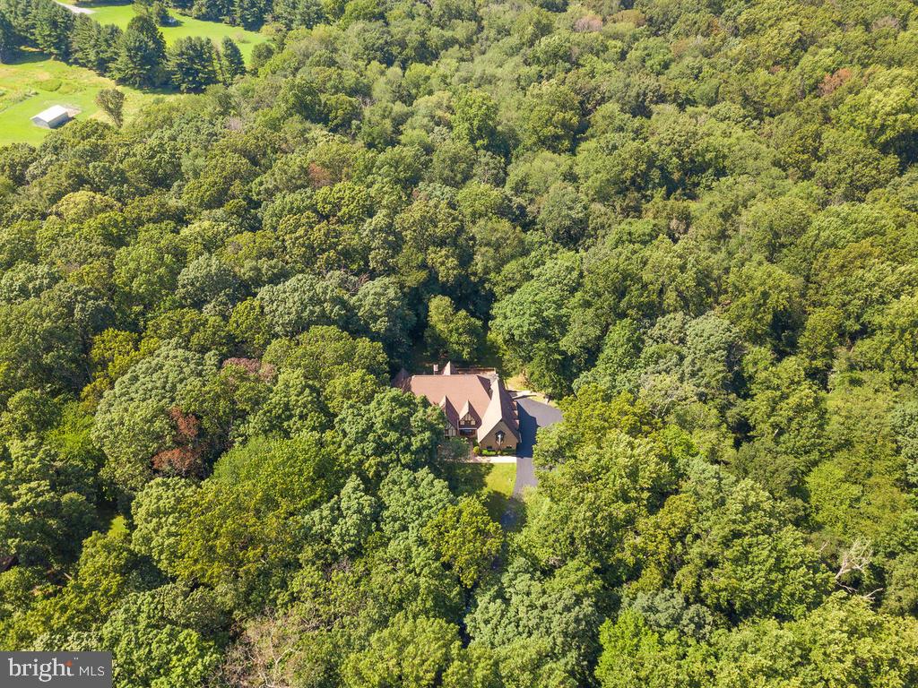 22305 Fitzgerald Drive Laytonsville, MD 20882 - Photo 97 of 109 Lot