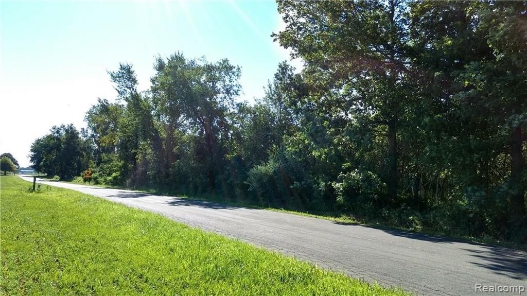 0 Moyer Road Williamston, MI 48895 - Photo 2 of 5