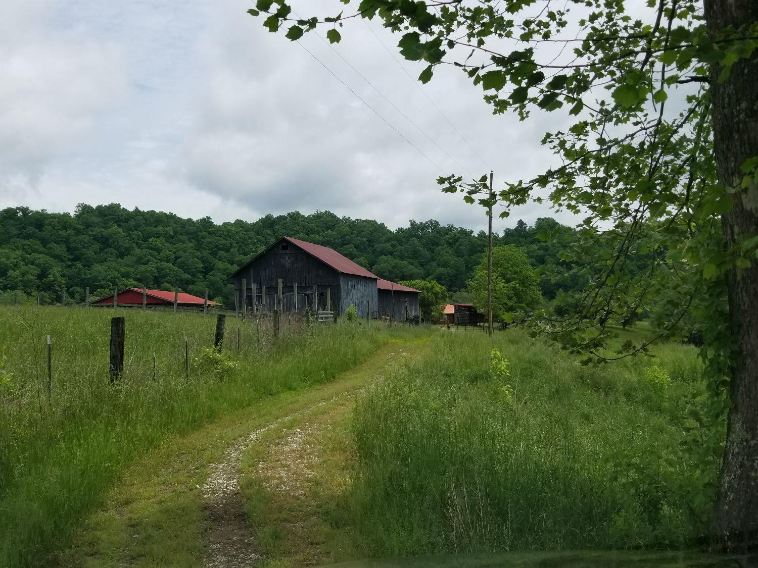 809 Mill Branch School Road Beattyville, KY 41311 - Photo 69 of 97 Photo 71