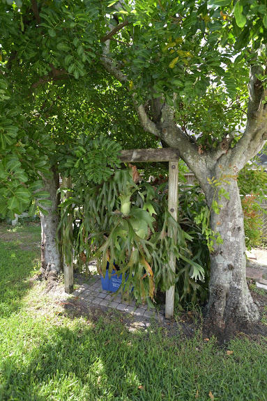 2559 Inisbrook Road Riviera Beach, FL 33407 - Photo 33 of 39 DSC_3472