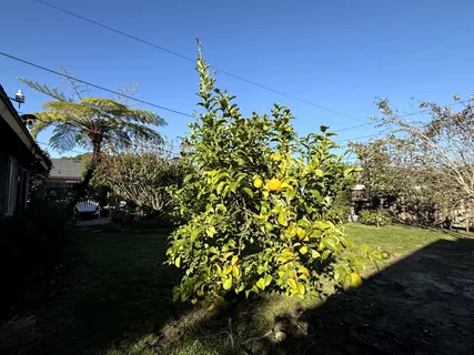 $5,200 | 114 La Plata, Santa Barbara, CA 93109