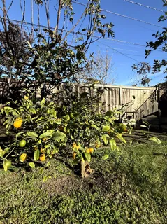 $5,200 | 114 La Plata, Santa Barbara, CA 93109