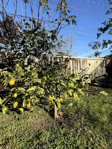 $5,200 | 114 La Plata, Santa Barbara, CA 93109