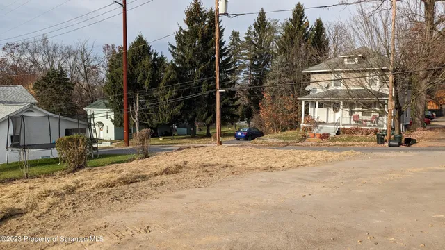 a view of a yard with plants and trees