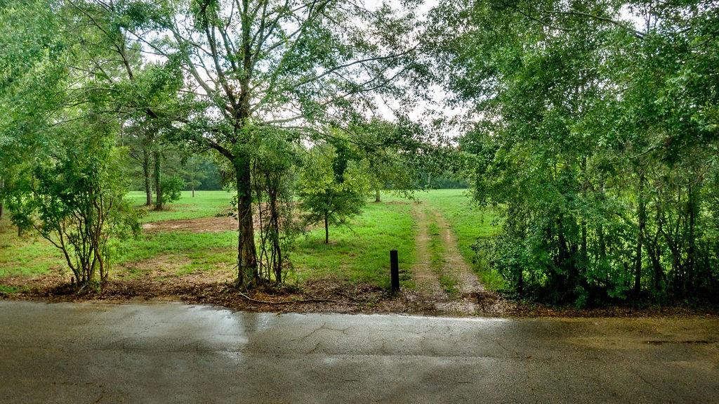 3 Barcelona Road Covington, LA 70435 - Photo 2 of 5 Gallery Image 2