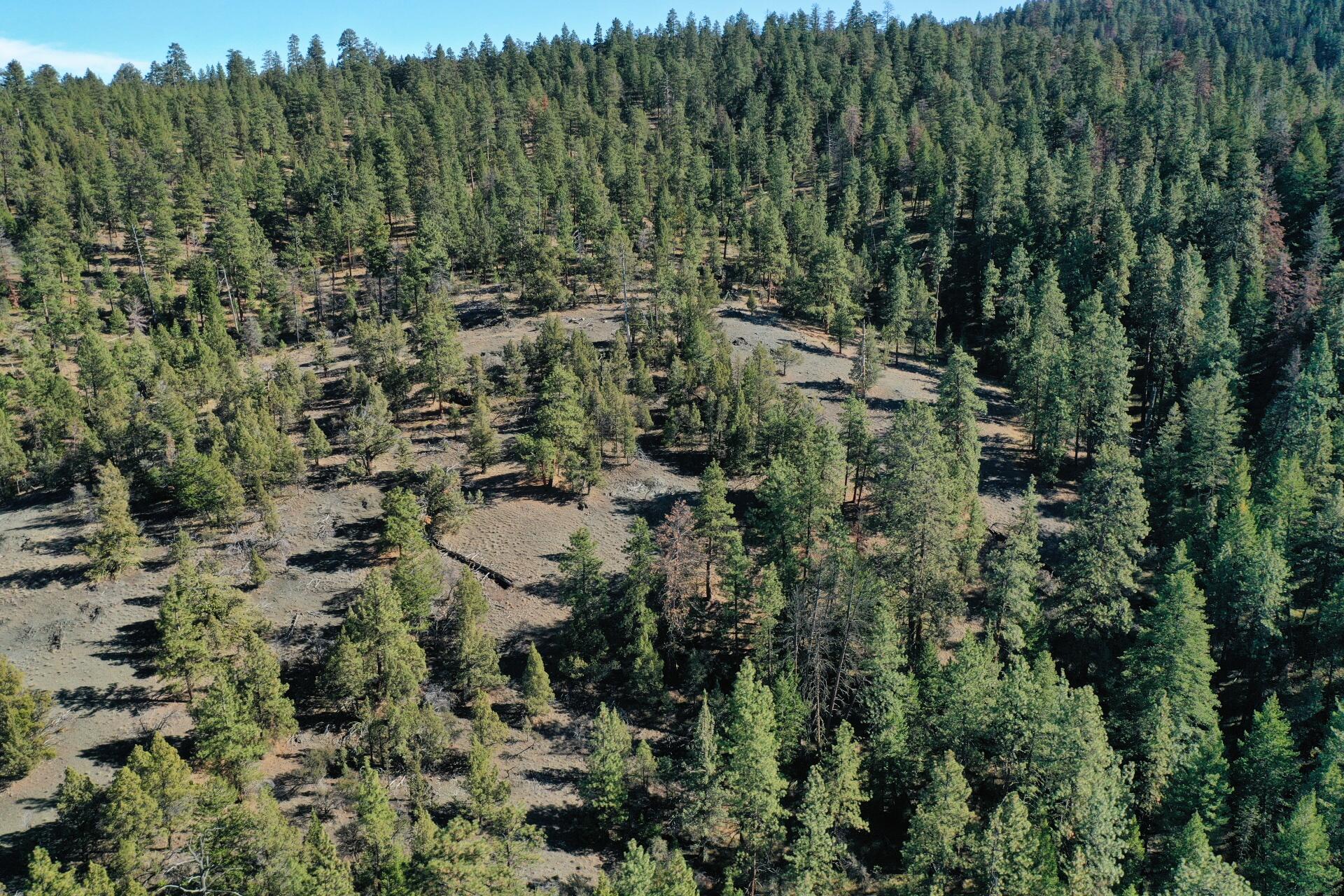 Nans Rock Rd Mount, Unit 3007 Mount Vernon, OR 97865 - Photo 5 of 16 DJI_0057