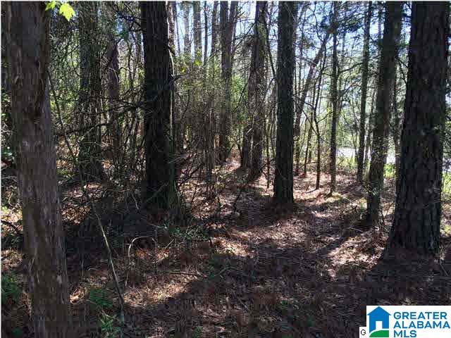 79 Highway 79, Unit 3 9 Cleveland, AL 35049 - Photo 12 of 21