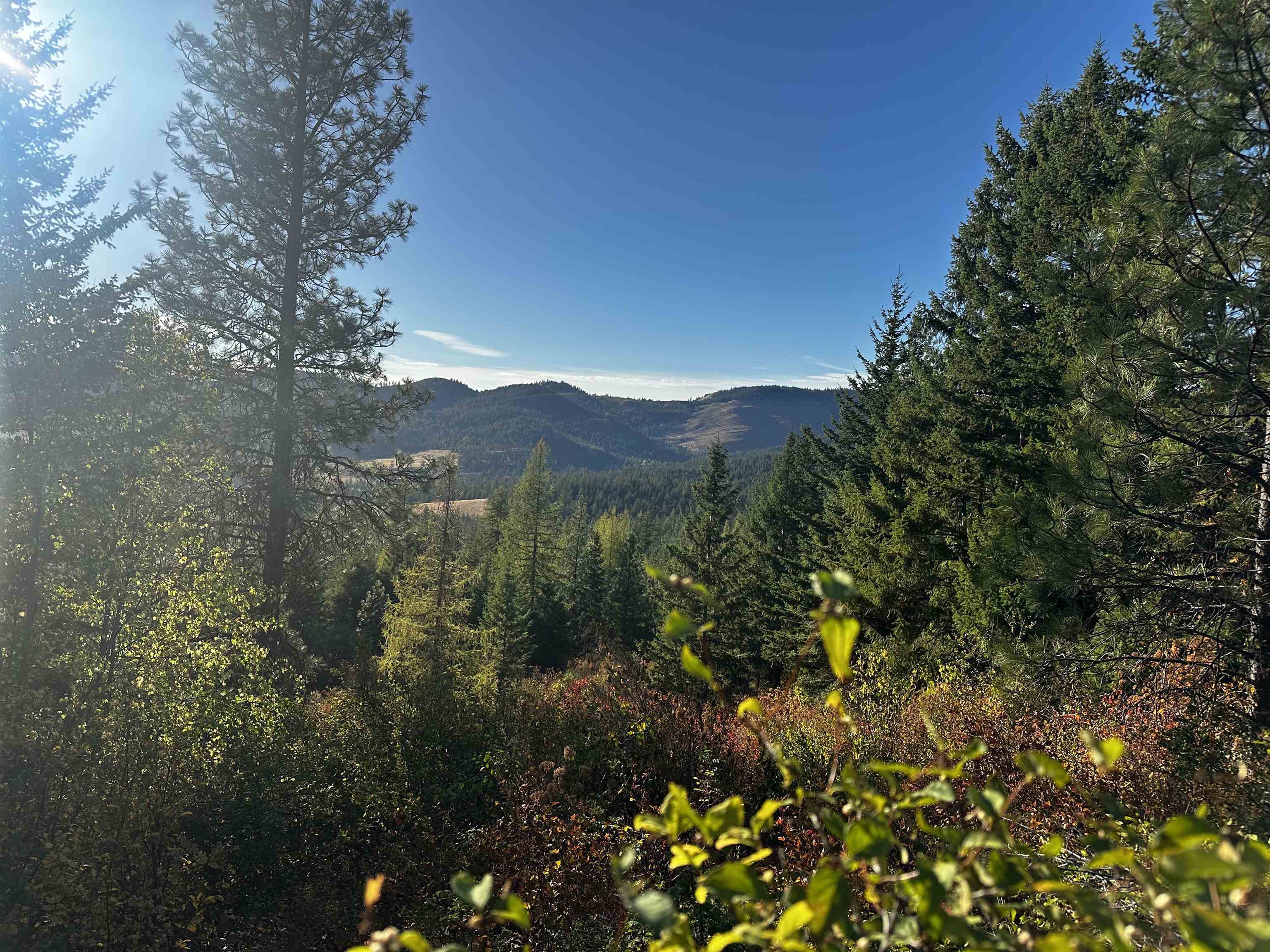 Tbd Old CC Road Addy, WA 99101 - Photo 1 of 17