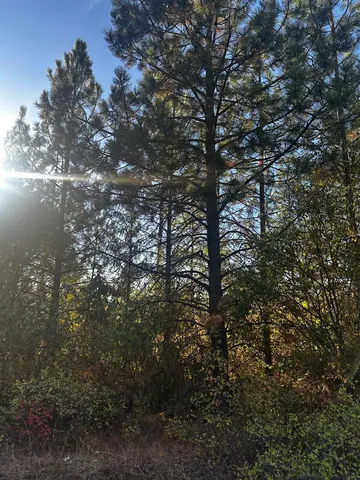 $399,000 | Tbd Old CC Road, Addy, WA 99101