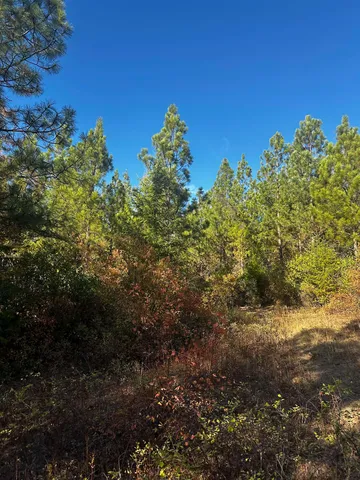 $399,000 | Tbd Old CC Road, Addy, WA 99101