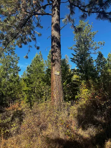 $399,000 | Tbd Old CC Road, Addy, WA 99101