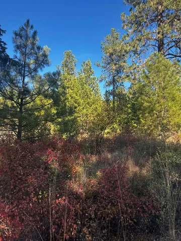 $399,000 | Tbd Old CC Road, Addy, WA 99101