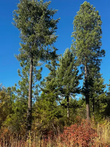 $399,000 | Tbd Old CC Road, Addy, WA 99101