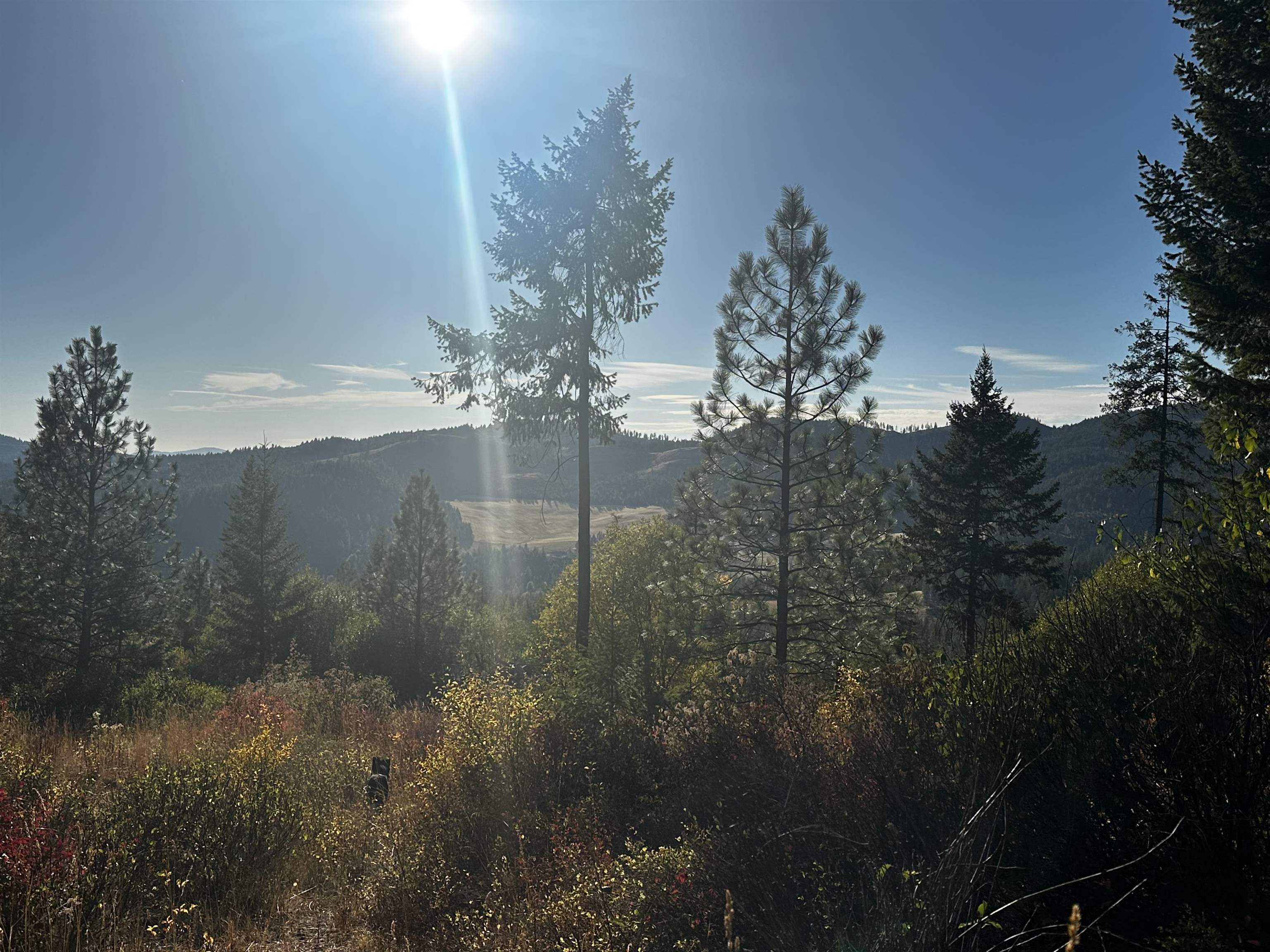 Tbd Old CC Road Addy, WA 99101 - Photo 4 of 17