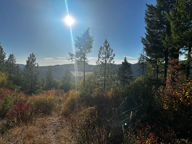 $399,000 | Tbd Old CC Road, Addy, WA 99101