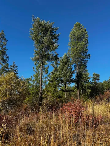 $399,000 | Tbd Old CC Road, Addy, WA 99101