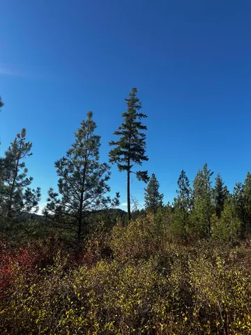 $399,000 | Tbd Old CC Road, Addy, WA 99101