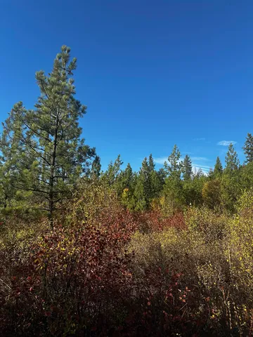 $399,000 | Tbd Old CC Road, Addy, WA 99101