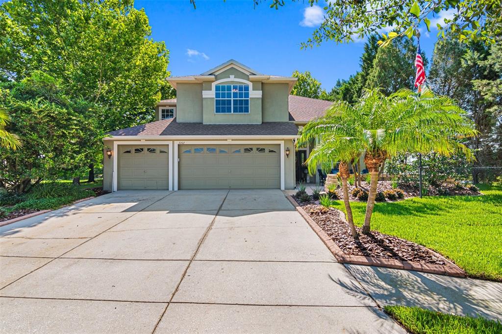 3202 Coconut Grove Road Land O' Lakes, FL 34639 - Photo 1 of 1 Gallery Image 1