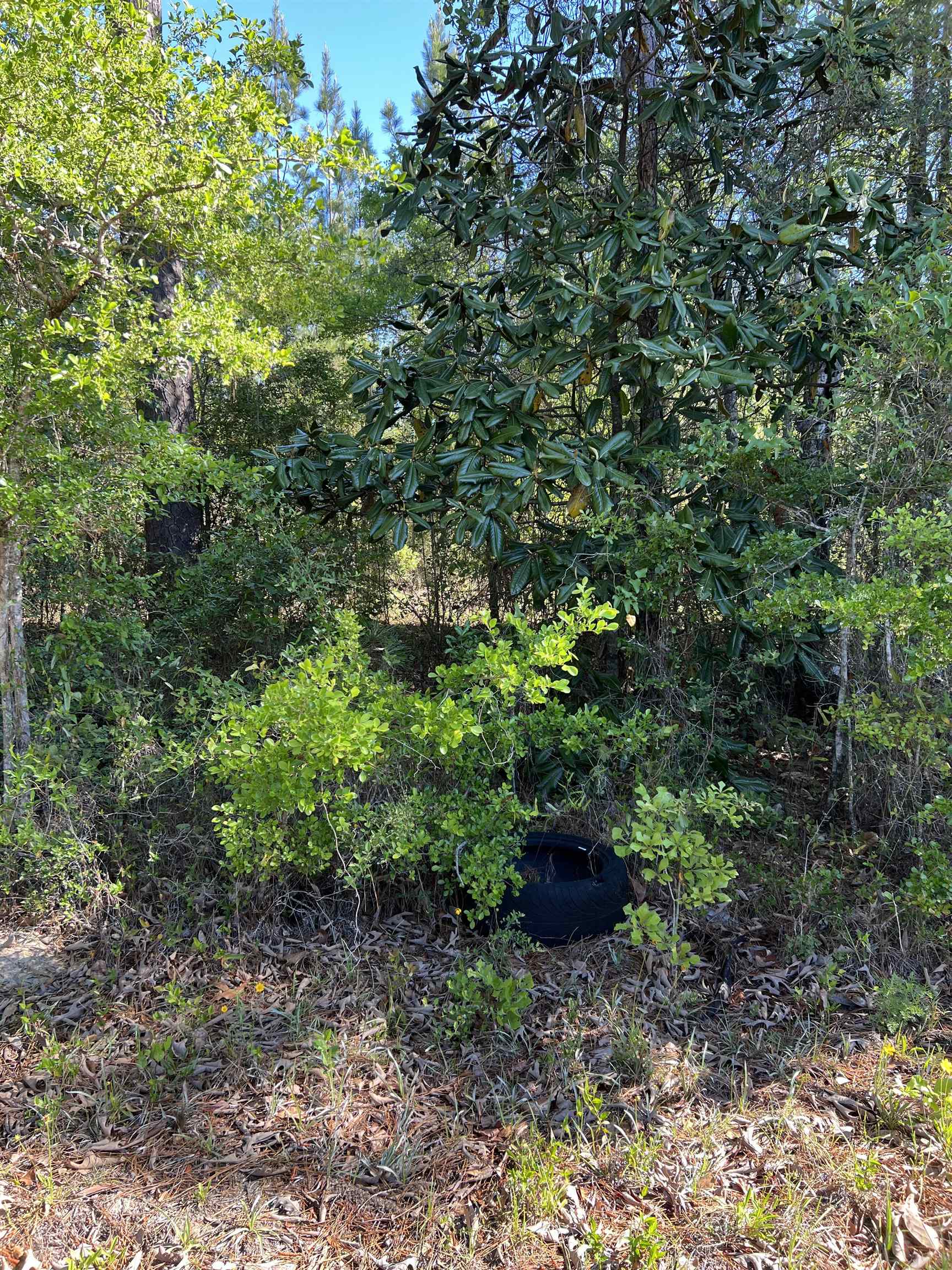 Xx Old Federal Road Quincy, FL 32351 - Photo 10 of 11