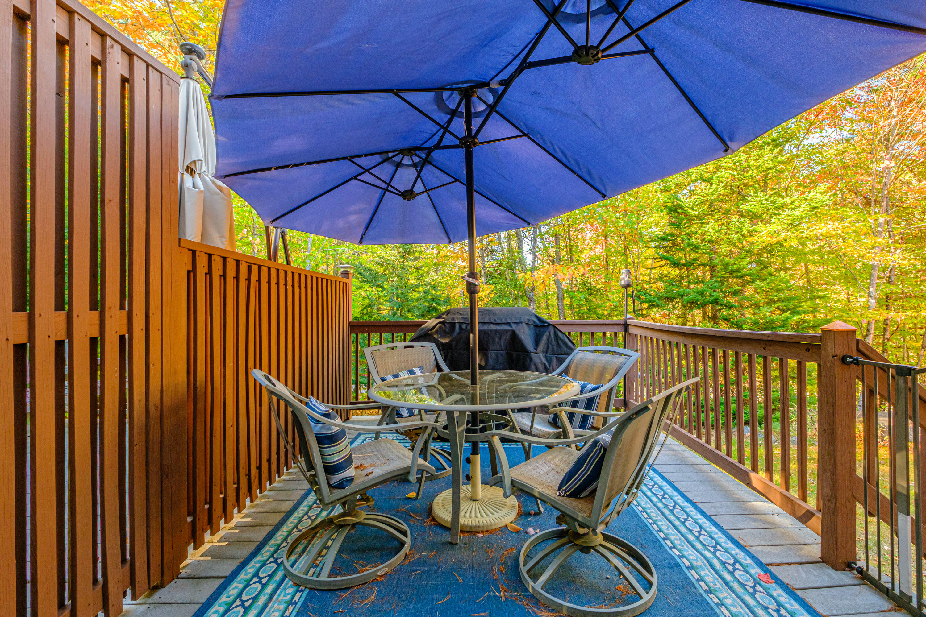 29 Antler Court, Unit 29 Naples, ME 04055 - Photo 49 of 76 20251017gp-60058