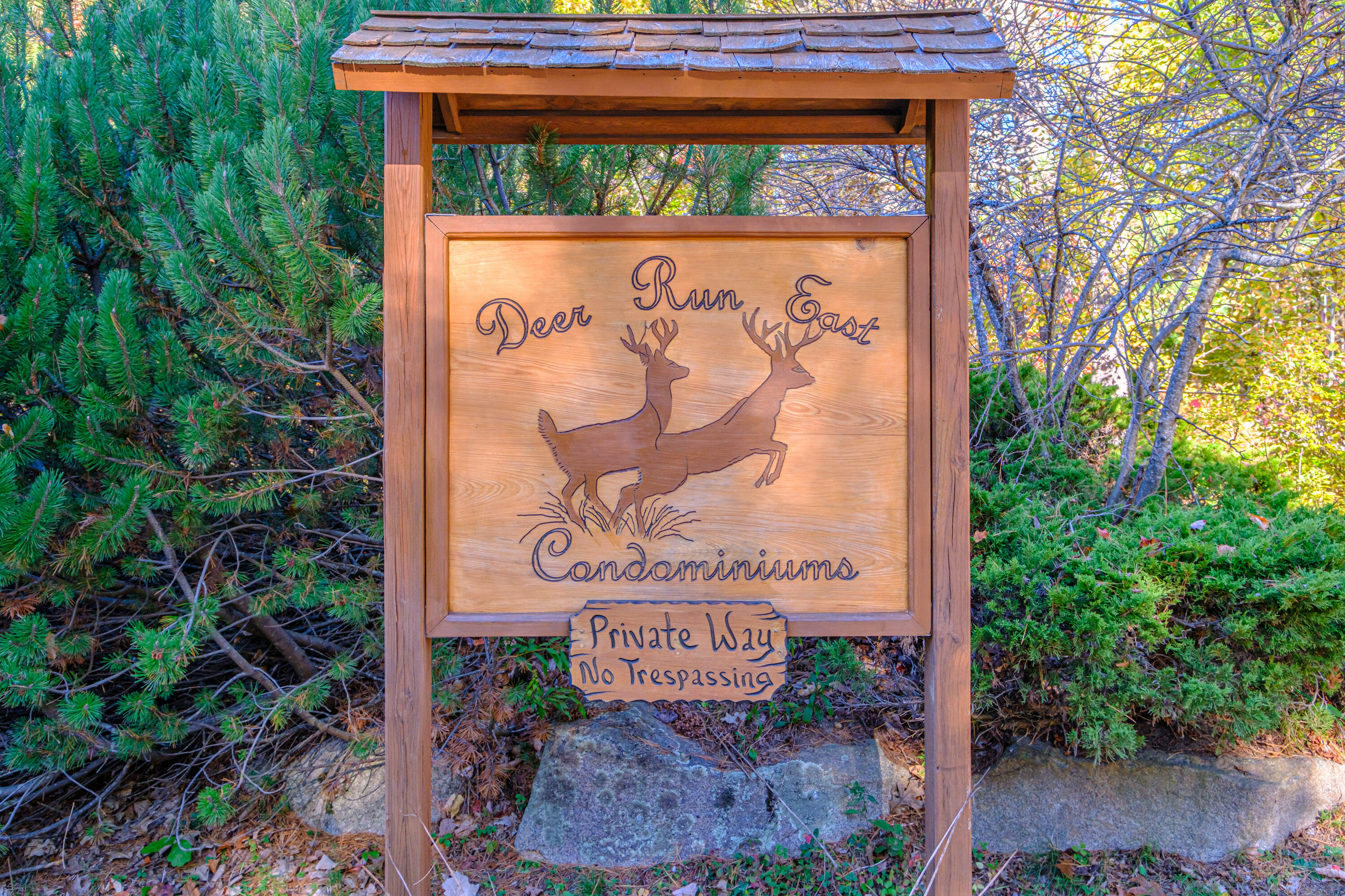 29 Antler Court, Unit 29 Naples, ME 04055 - Photo 76 of 76 20251017gp-60001 (1)