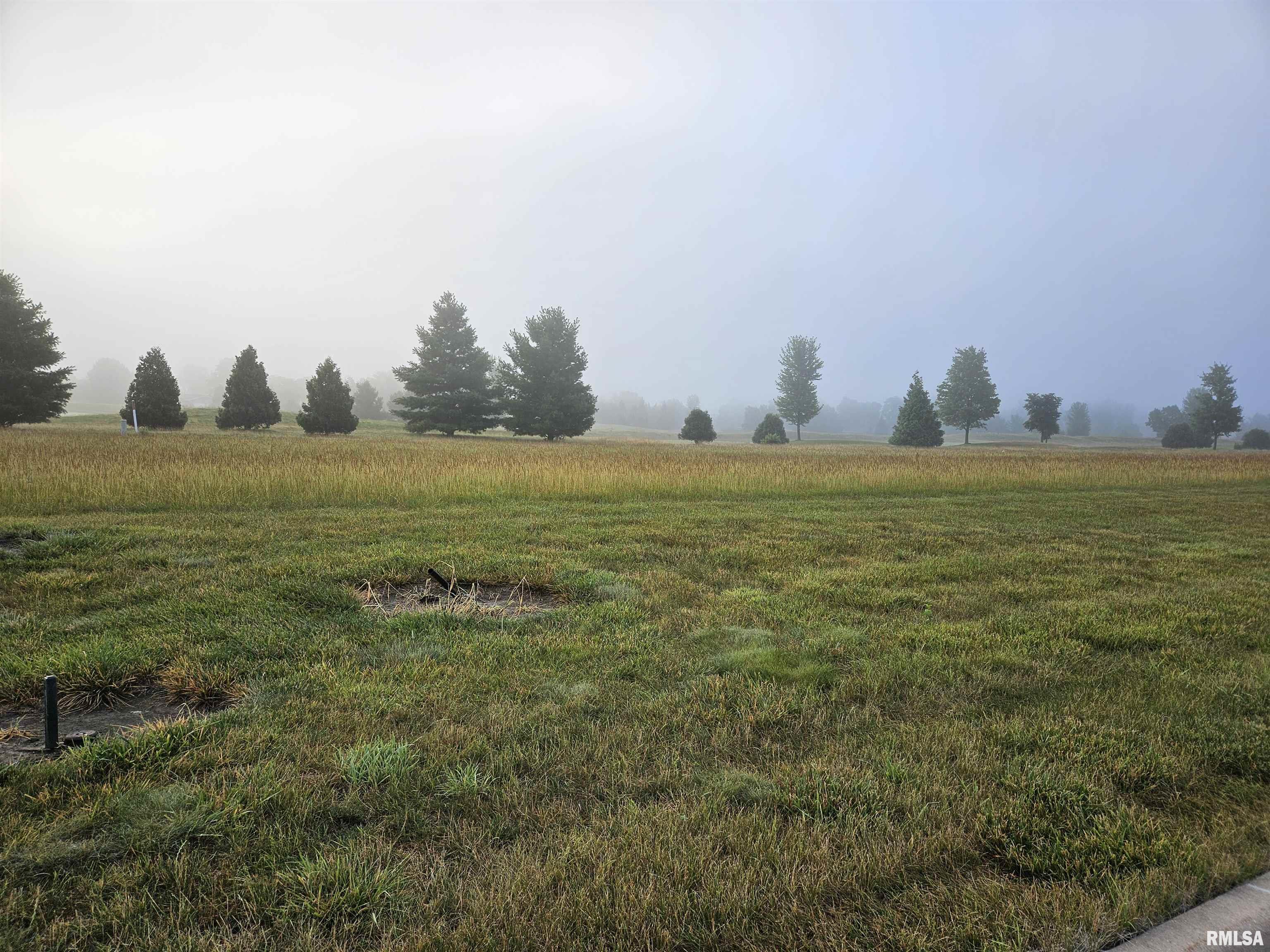 1027 Harmon Lane Metamora, IL 61548 - Photo 1 of 2