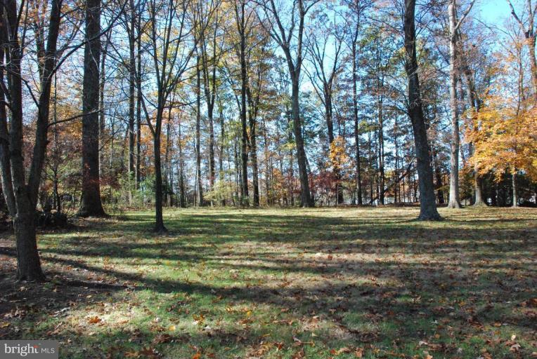 15500 Tierra Drive Silver Spring, MD 20906 - Photo 2 of 21 a yard with trees in the background