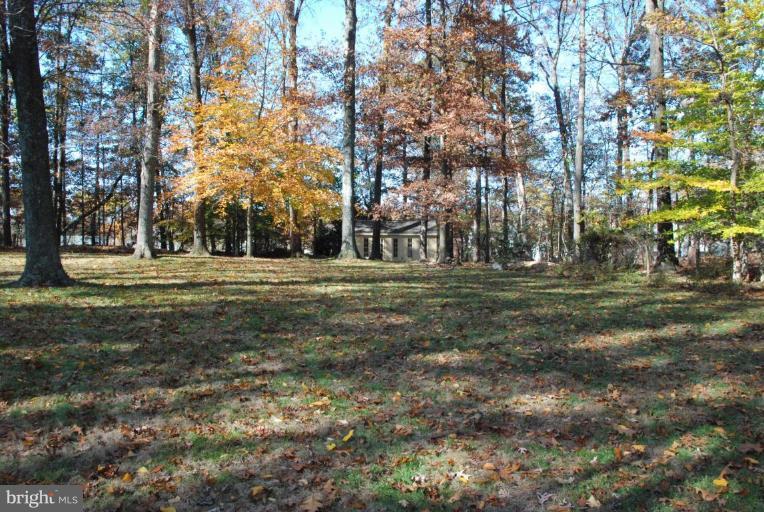 15500 Tierra Drive Silver Spring, MD 20906 - Photo 3 of 21 a big yard with large trees