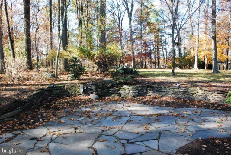 15500 Tierra Drive Silver Spring, MD 20906 - Photo 21 of 21 a view of a yard with a tree