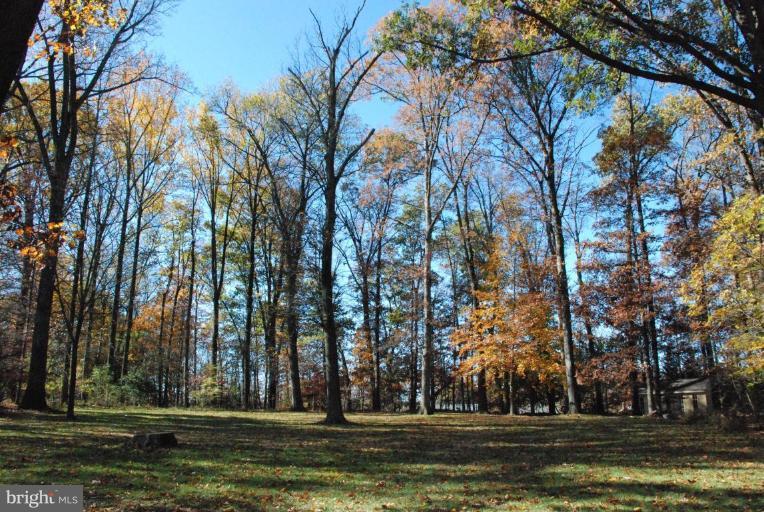 15500 Tierra Drive Silver Spring, MD 20906 - Photo 4 of 21 a view of outdoor space with trees