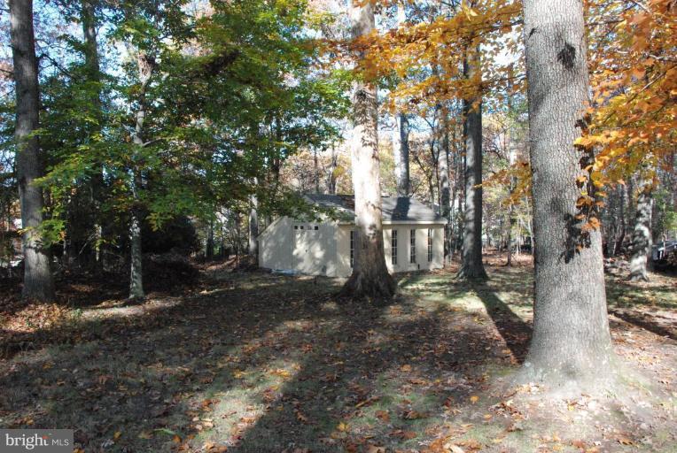 15500 Tierra Drive Silver Spring, MD 20906 - Photo 5 of 21 a view of a tree in the middle of a yard