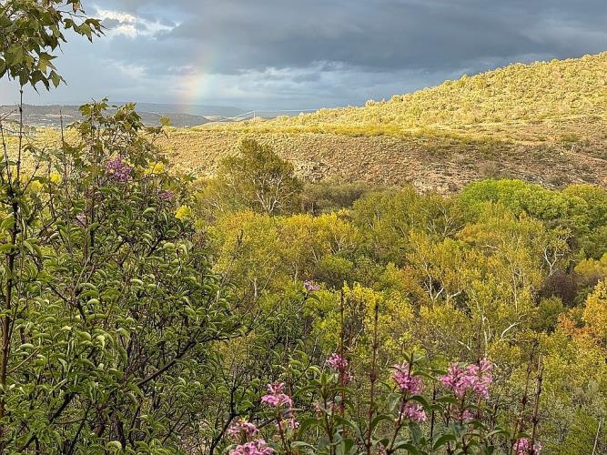 3901 North Indigo Moon Drive Rimrock, AZ 86335 - Photo 25 of 53