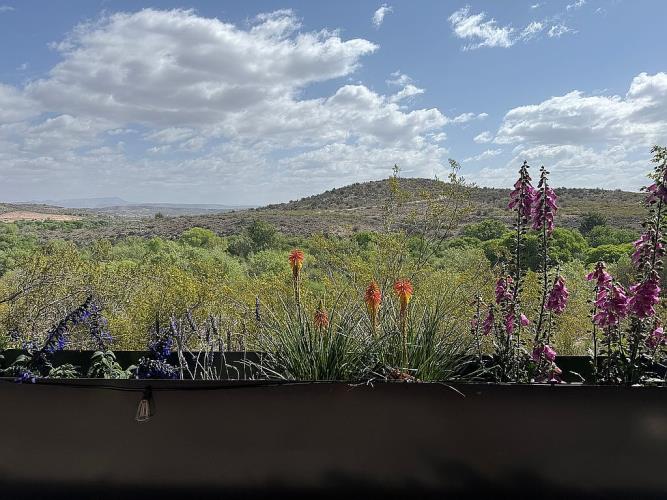 3901 North Indigo Moon Drive Rimrock, AZ 86335 - Photo 33 of 53