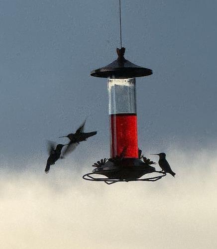 3901 North Indigo Moon Drive Rimrock, AZ 86335 - Photo 34 of 53