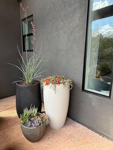 3901 North Indigo Moon Drive Rimrock, AZ 86335 - Photo 4 of 53