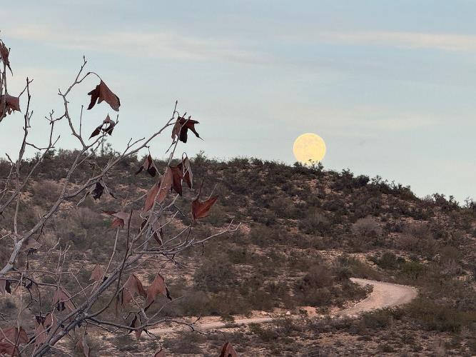 3901 North Indigo Moon Drive Rimrock, AZ 86335 - Photo 44 of 53