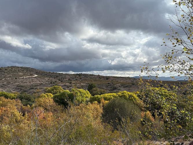 3901 North Indigo Moon Drive Rimrock, AZ 86335 - Photo 45 of 53