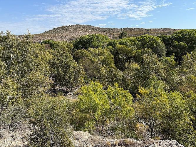 3901 North Indigo Moon Drive Rimrock, AZ 86335 - Photo 48 of 53