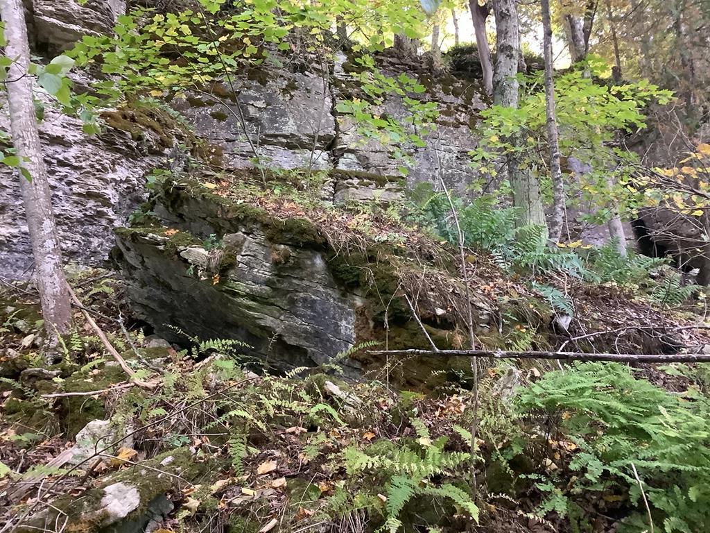 Mountain Road Washington Island, WI 54246 - Photo 1 of 7