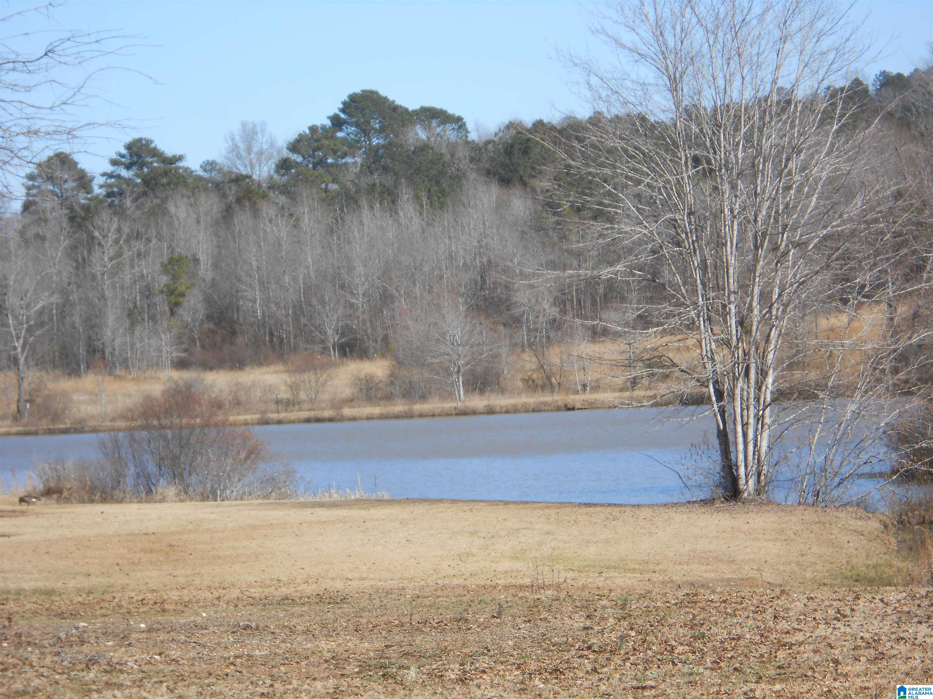 20718 Waters View McCalla, AL 35111 - Photo 5 of 7
