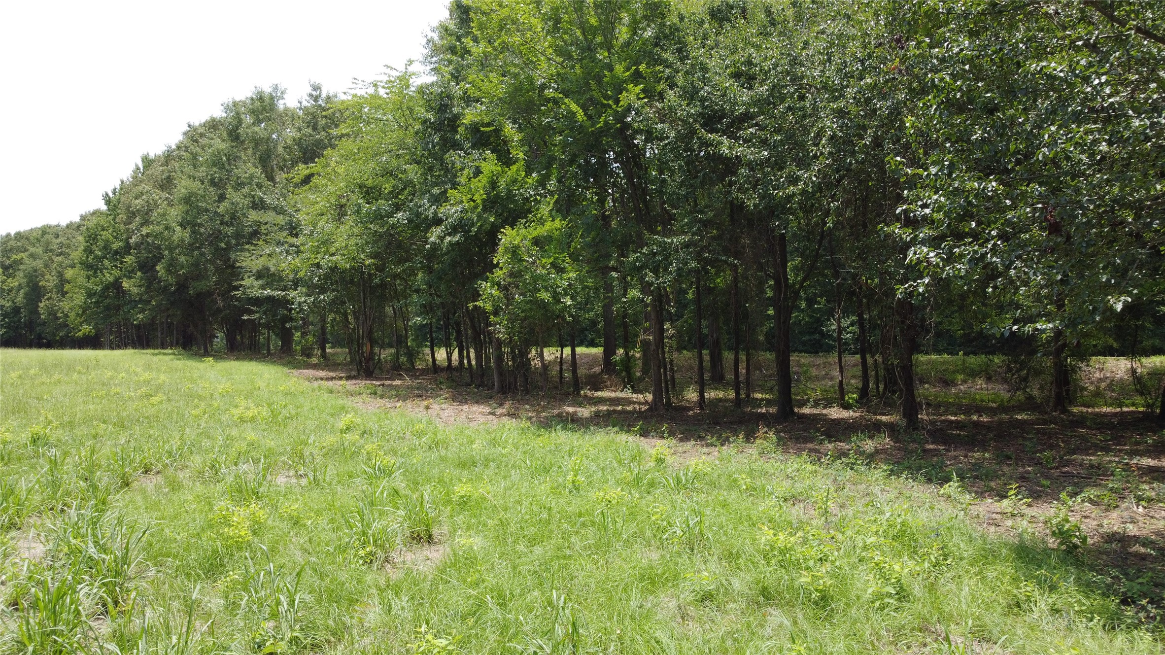 59 Highway 59 Garrison, TX 75946 - Photo 9 of 11